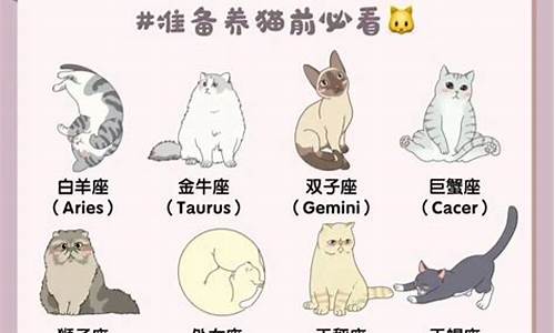 十二星座适合养的猫_十二星座适合养的猫咪品种